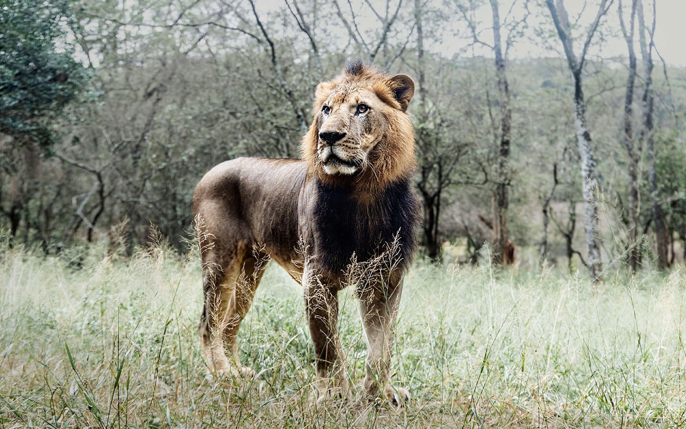 À la Rencontre de nos Partenaires